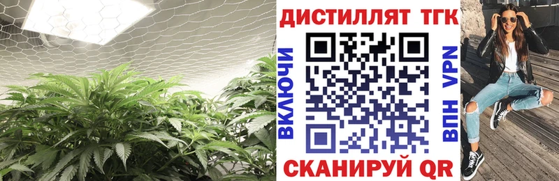 Дистиллят ТГК концентрат Шлиссельбург