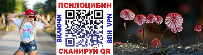 Галлюциногенные грибы MAGIC MUSHROOMS  Шлиссельбург 